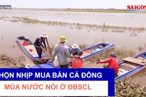 Nhộn nhịp mua bán cá đồng mùa nước nổi ở ĐBSCL