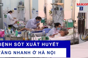 Bệnh sốt xuất huyết tăng nhanh ở Hà Nội