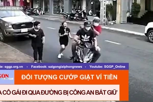 Đối tượng cướp giật ví tiền của cô gái đi qua đường bị công an bắt giữ