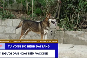 Tử vong do bệnh dại tăng vì người dân ngại tiêm vaccine