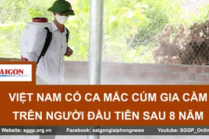 Việt Nam có ca mắc cúm gia cầm trên người đầu tiên sau 8 năm