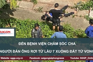 Đến bệnh viện chăm sóc cha, con trai rơi từ lầu 7 xuống đất tử vong