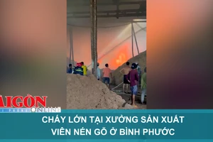 Cháy lớn tại xưởng sản xuất viên nén gỗ ở Bình Phước