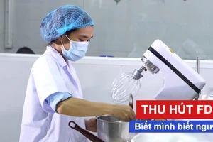 Thu hút FDI – biết mình biết người