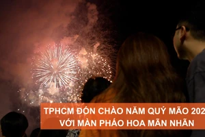 TPHCM đón chào năm Quý Mão 2023 với màn pháo hoa mãn nhãn