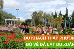 Du khách thập phương đổ về Đà Lạt du xuân