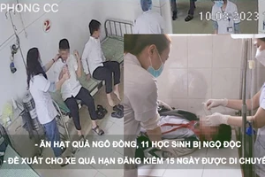 Tin nóng 20H (10-3): Ăn hạt quả ngô đồng, 11 học sinh bị ngộ độc; đề xuất cho xe quá hạn đăng kiểm 15 ngày được di chuyển