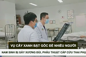 Vụ cây xanh bật gốc đè nhiều người: Nam sinh bị gãy xương đùi, phẫu thuật cấp cứu thai phụ