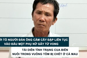 Tin nóng: Khởi tố người đàn ông cầm cây đập liên tục vào đầu một phụ nữ gây tử vong; Tái diễn tình trạng cua biển nuôi trong vuông tôm bị chết ở Cà Mau