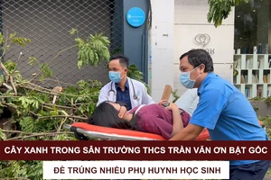 Cây xanh trong sân Trường THCS Trần Văn Ơn bật gốc, đè trúng nhiều phụ huynh học sinh