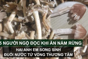 Tin nóng: 15 người ngộ độc khi ăn nấm rừng; Hai anh em song sinh đuối nước tử vong thương tâm