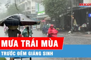TPHCM: Mưa trái mùa bất ngờ trong chiều Giáng sinh