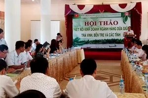 Trà Vinh và Bến Tre kết nối kinh doanh dừa 