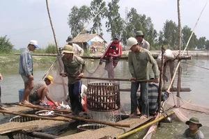 Đồng Tháp hợp tác TPHCM phát triển nông sản chủ lực