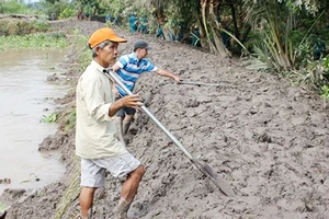 Mực nước lũ tại ĐBSCL sẽ lên trong vài ngày tới