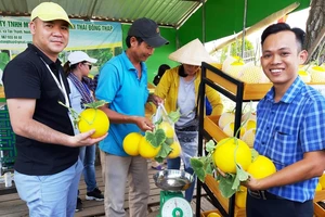 Phát triển bền vững du lịch nông nghiệp tại ĐBSCL