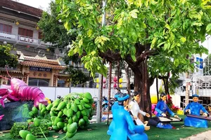 Cần Thơ khai mạc đường hoa xuân Canh Tý 2020
