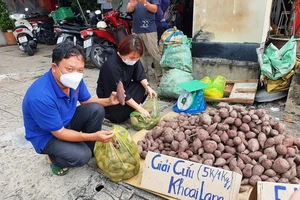 Đẩy mạnh tiêu thụ khoai lang cho nông dân với giá 3.000 - 5.000 đồng/kg