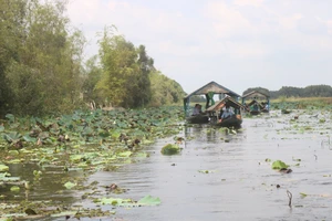 ĐBSCL phát triển nông nghiệp theo ba trục “nông nghiệp sinh thái - nông thôn hiện đại - nông dân thông minh"