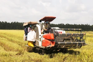 Thúc đẩy liên kết phát triển bền vững vùng ĐBSCL