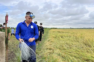 An Giang: Dùng điện bẫy chuột gây chết người