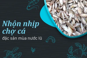 Nhộn nhịp chợ cá đặc sản mùa nước lũ