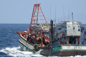 Kiên Giang mở cao điểm 180 ngày gỡ “thẻ vàng” IUU