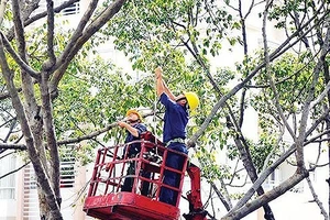 Chuyển giao chức năng quản lý nhà nước về công viên, cây xanh đô thị từ Sở GT-VT qua Sở Xây dựng TPHCM