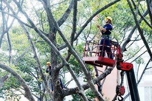 Bảo đảm an toàn nhà dân và các công trình trong mùa mưa bão