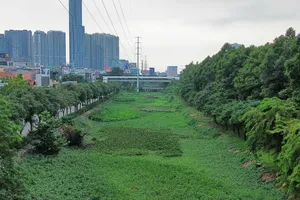 TPHCM triển khai đồng bộ các giải pháp bảo vệ môi trường và chuyển đổi xanh