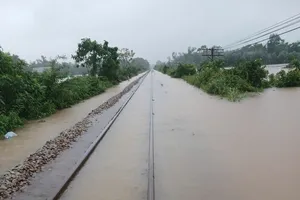Tạm ngừng nhiều chuyến tàu do mưa lũ