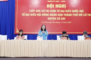 Đồng chí Nguyễn Thị Lệ: Giám sát việc giải quyết các dự án tồn đọng trên địa bàn TPHCM