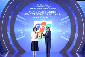 Đại diện FPT nhận giải