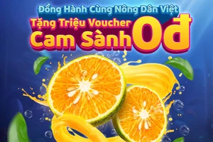 MoMo cùng Co.opFood ủng hộ 100 tấn cam