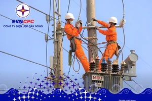 Công ty Điện lực Đắk Nông: Nỗ lực vượt khó hoàn thành nhiệm vụ năm 2024