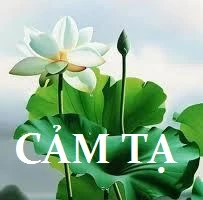 Lời cảm tạ