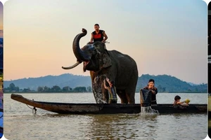 Phát động cuộc thi ảnh “Tỏa sáng Việt Nam - Amazing Vietnam”