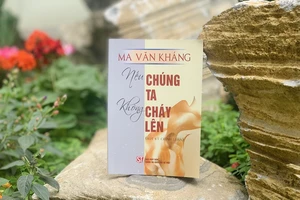 Cuốn sách thể hiện nhãn quan tinh nhạy của một nhà văn trong những vấn đề thời sự của đất nước