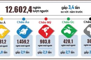 Khách quốc tế đến Việt Nam năm 2023 phân theo vùng lãnh thổ