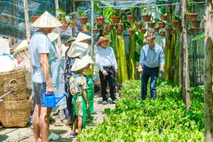 Du khách nước ngoài tham quan tại Việt Nam