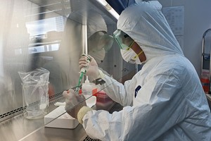 本市未發現奧密克戎病毒。