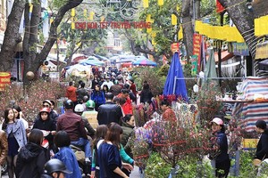 建議春節期間停止非必要聚眾活動