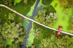 西南地區熱帶生物多樣化群體保護“王國”。