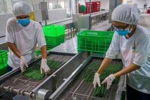 生產大米吸管減少使用塑料產品。