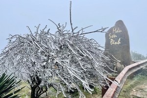 牡山山峰的樹木今日上午結霜。