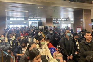 越南公民在布加勒斯特機場辦理手續。(圖自越通社)