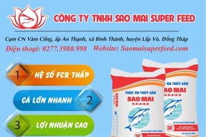 解決魚隻健康的營養措施