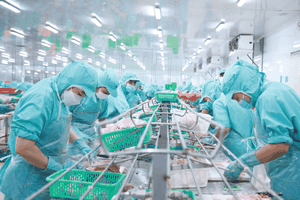 IDI為新一個順利經營季節忙碌。