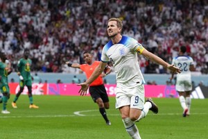 凱恩慶祝進球（圖源：互聯網） 