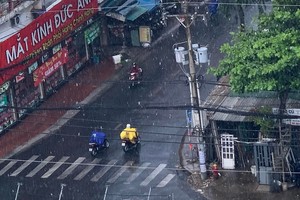 本市今日降雨缓解酷热